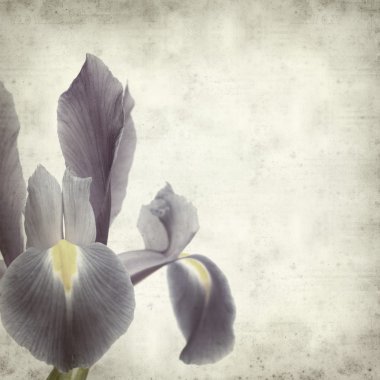 desenli eski kağıt arkaplan  