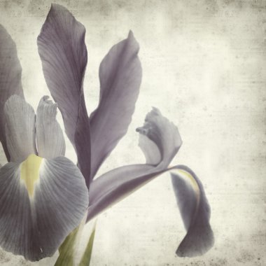 desenli eski kağıt arkaplan  