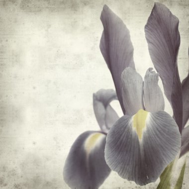 desenli eski kağıt arkaplan  