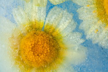 Caldera de Tejeda kışın