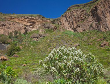Caldera de Tejeda kışın