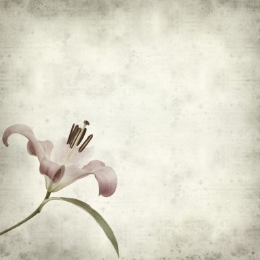 Caldera de Tejeda kışın