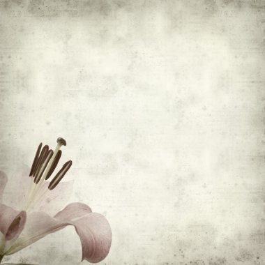 Caldera de Tejeda kışın