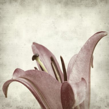 desenli eski kağıt arkaplan  