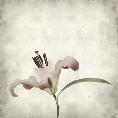 desenli eski kağıt arkaplan  