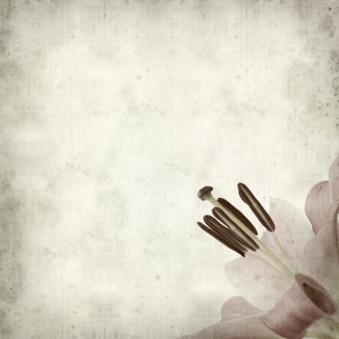 desenli eski kağıt arkaplan  