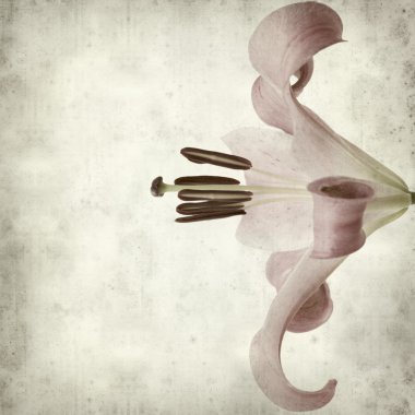 desenli eski kağıt arkaplan  