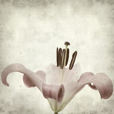 desenli eski kağıt arkaplan  