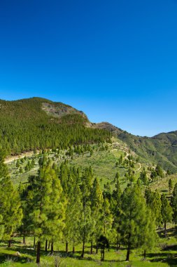 Caldera de Tejeda kışın