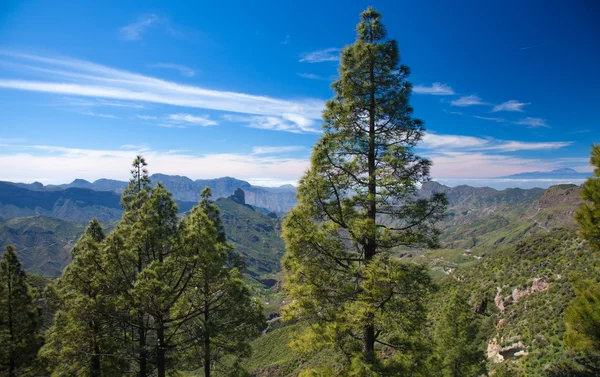 Caldera de Tejeda no inverno — Fotografia de Stock