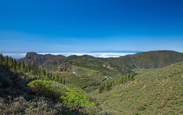 Caldera de Tejeda zimą — Zdjęcie stockowe