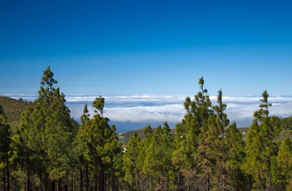 Caldera de Tejeda en invierno —  Fotos de Stock