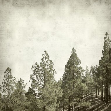 desenli eski kağıt arkaplan  