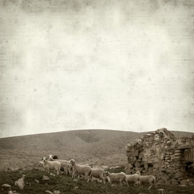 desenli eski kağıt arkaplan  