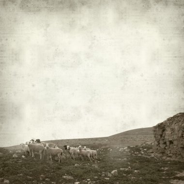 desenli eski kağıt arkaplan  