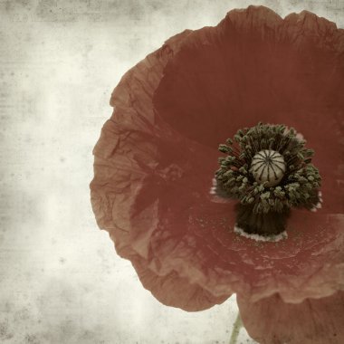 desenli eski kağıt arkaplan  