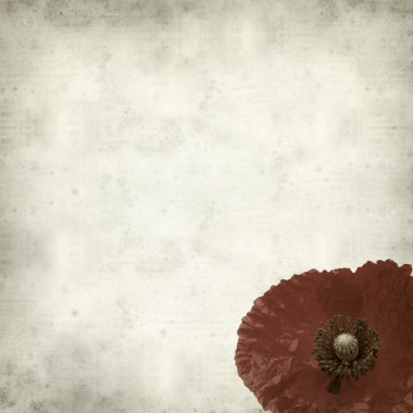 Harap bir ev Flameco dansçı