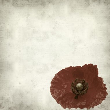 Harap bir ev Flameco dansçı