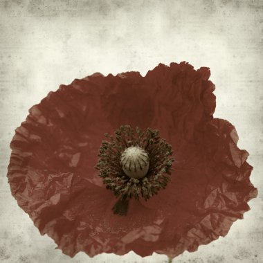 Harap bir ev Flameco dansçı