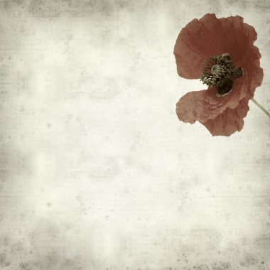 Harap bir ev Flameco dansçı