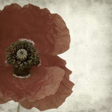 desenli eski kağıt arkaplan  