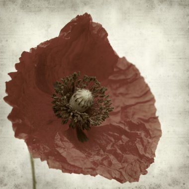 desenli eski kağıt arkaplan  