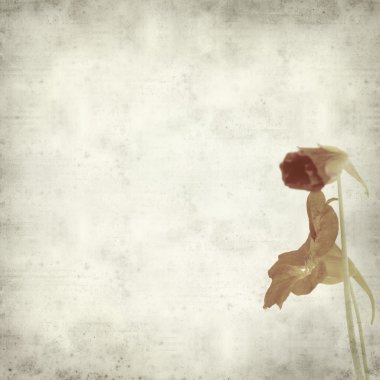 desenli eski kağıt arkaplan  