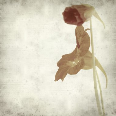 desenli eski kağıt arkaplan  