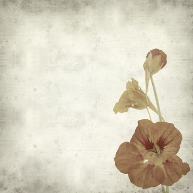 desenli eski kağıt arkaplan  