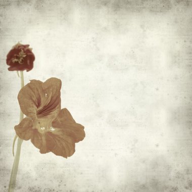 desenli eski kağıt arkaplan  