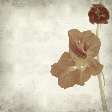 desenli eski kağıt arkaplan  