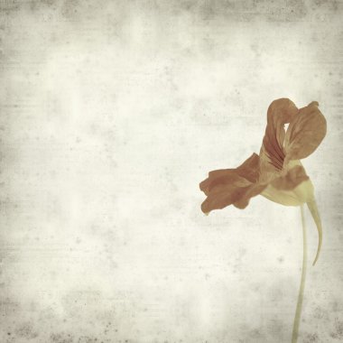 desenli eski kağıt arkaplan  