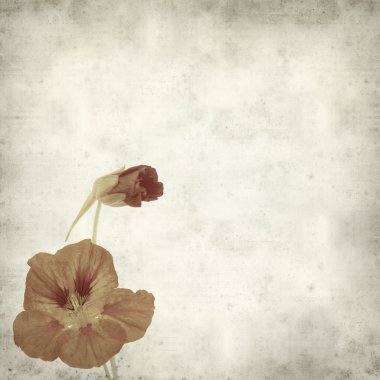 desenli eski kağıt arkaplan  