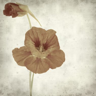 desenli eski kağıt arkaplan  