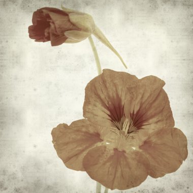 desenli eski kağıt arkaplan  