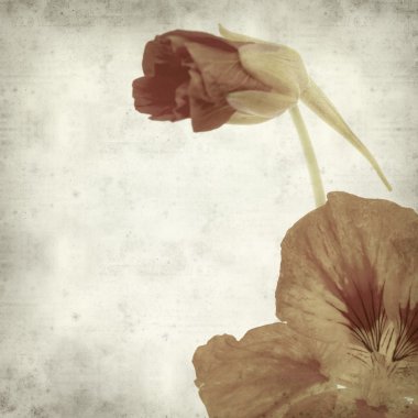 desenli eski kağıt arkaplan  