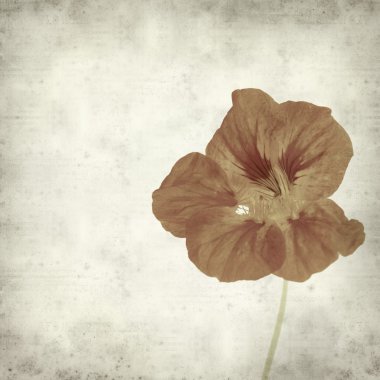 desenli eski kağıt arkaplan  