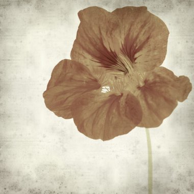 desenli eski kağıt arkaplan  