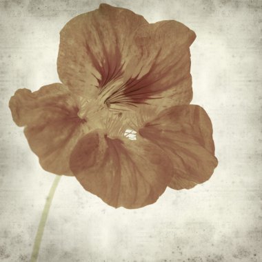 desenli eski kağıt arkaplan  