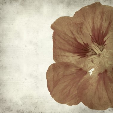 desenli eski kağıt arkaplan  