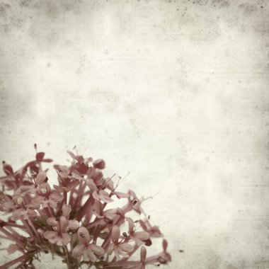 desenli eski kağıt arkaplan  