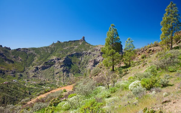 Gran Canaria, widoki na kalderę de Tejeda — Zdjęcie stockowe