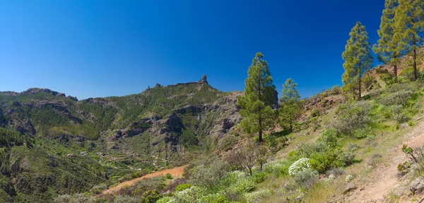 Gran Canaria, pohled přes Caldera de Tejeda — Stock fotografie