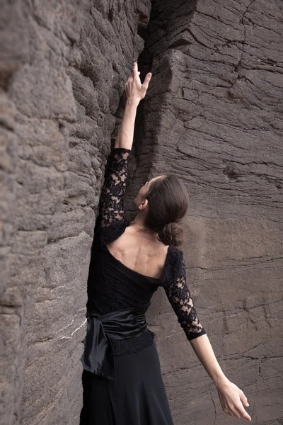 Ballerino flameco in un burrone di basalto — Foto Stock