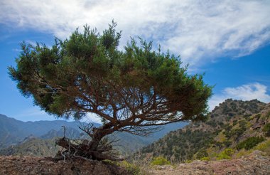 La Gomera, Vallehermoso