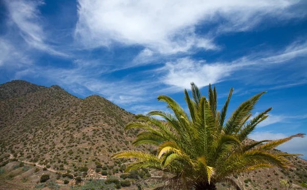 La Gomera, Vallehermoso — Stock Photo, Image