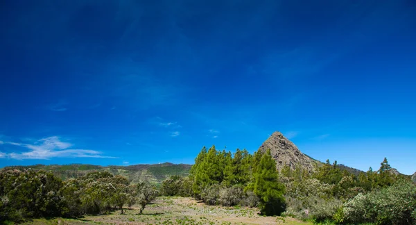 Interior La Gomera — Foto de Stock