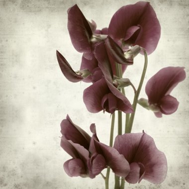 desenli eski kağıt arkaplan  