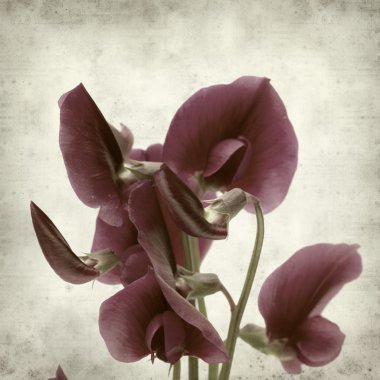 desenli eski kağıt arkaplan  