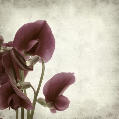 desenli eski kağıt arkaplan  